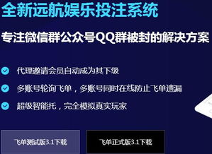 東莞正規(guī)公司精品站服務(wù) 提升您的互聯(lián)網(wǎng)信息服務(wù)體驗(yàn)